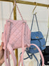 Ladies Style Mini Hand and Back Pack Bag